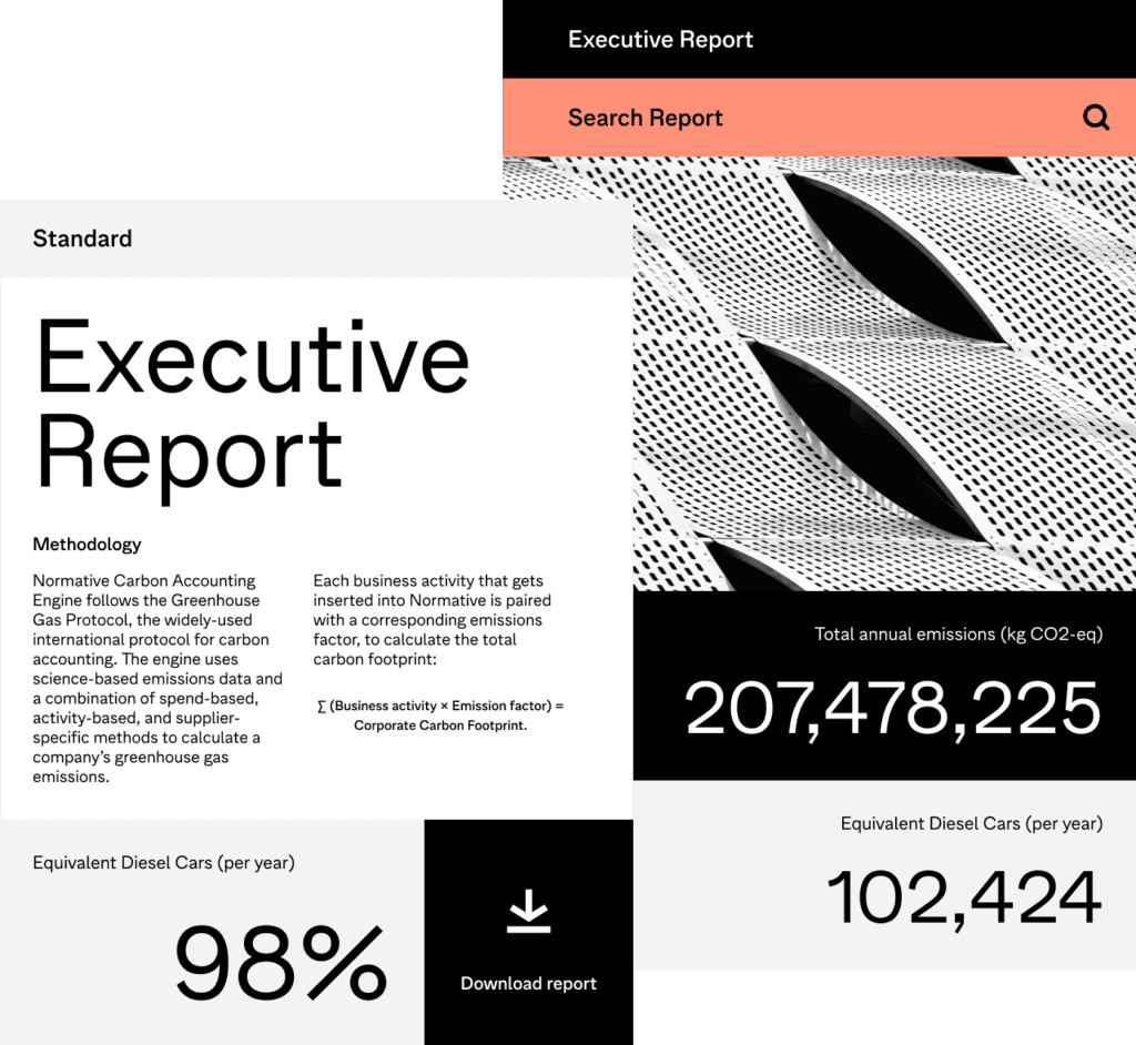 Executive report