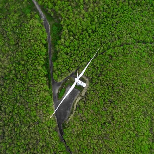 Wind turbine drone