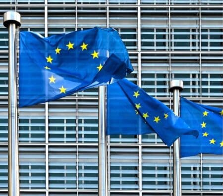 EU flags